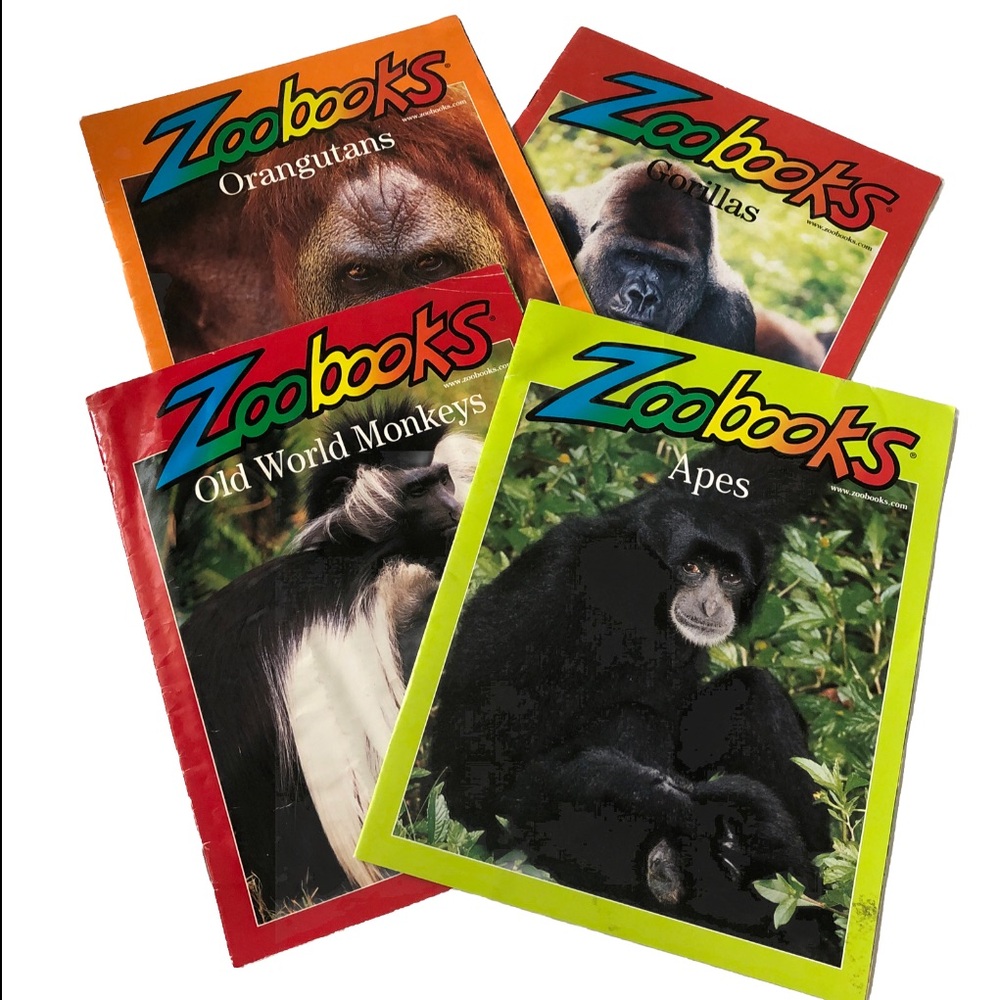 Set of 4 vintage 2000-2001 Zoobooks